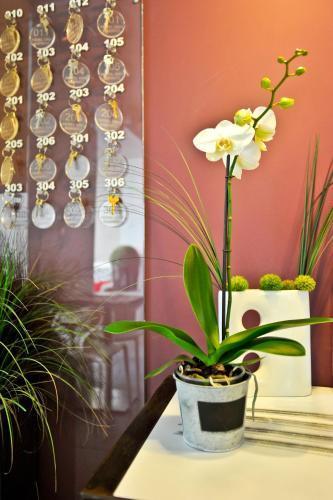 Hôtel Oxo Biarritz Ngoại thất bức ảnh